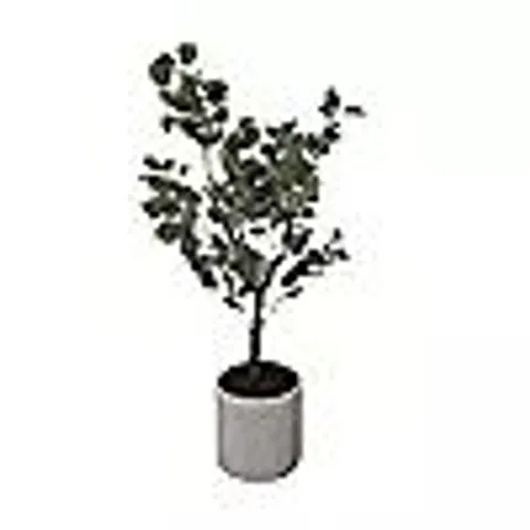 K BY KELLY HOPPEN FAUX EUCALYPTUS INDOOR OUTDOOR TREE IN POT