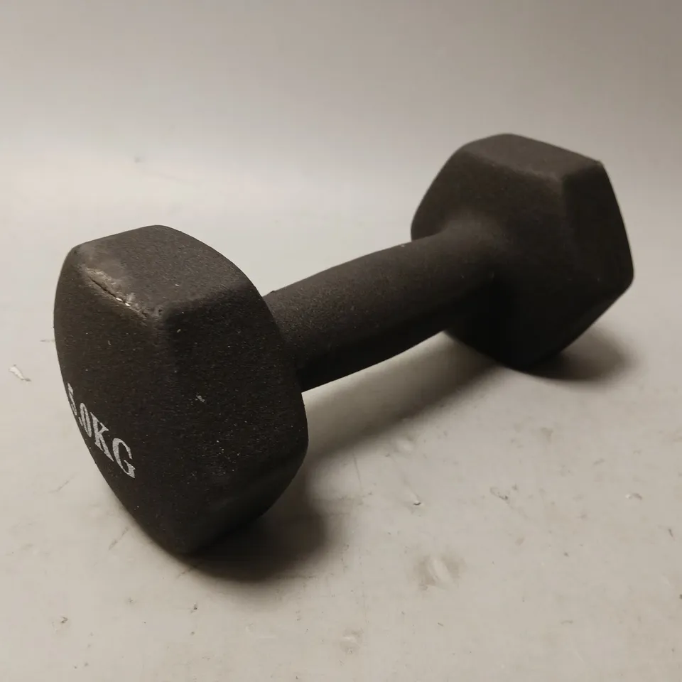 5kg DUMBBELL WEIGHT