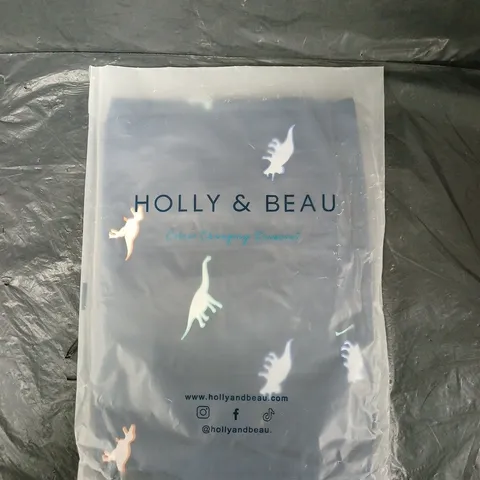 HOLLY & BEAU COLOUR-CHANGING DINOSAUR RAINCOAT, AGE 3-4