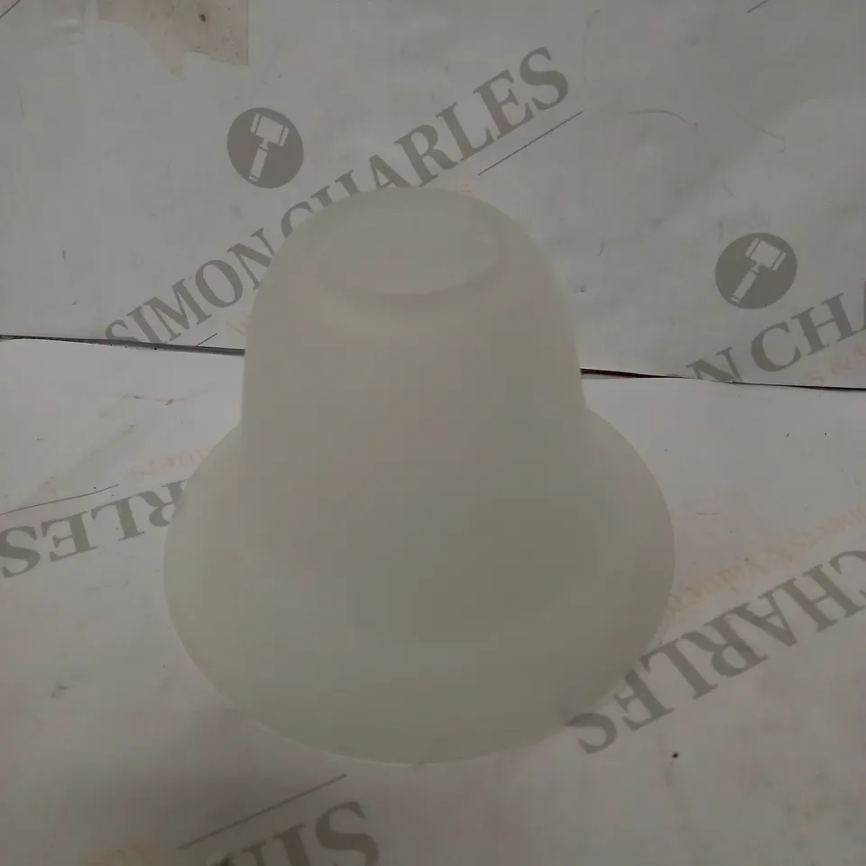 DAVID HUNT LIGHTING GLASS SHADE