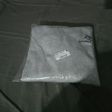 BAGGED XPLOSIVE APE HOODIE- SIZE XL