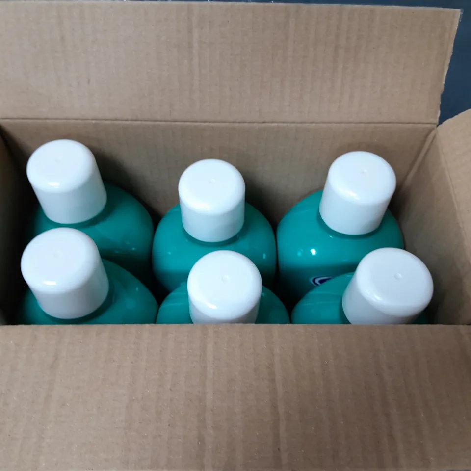 LOT OF 6 TRIPLEWAX CARAVAN POUR ON SHINE - 600ML PER BOTTLE
