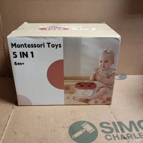 MONTESSORI TOYS 5 IN 1 KIDS TOY SET