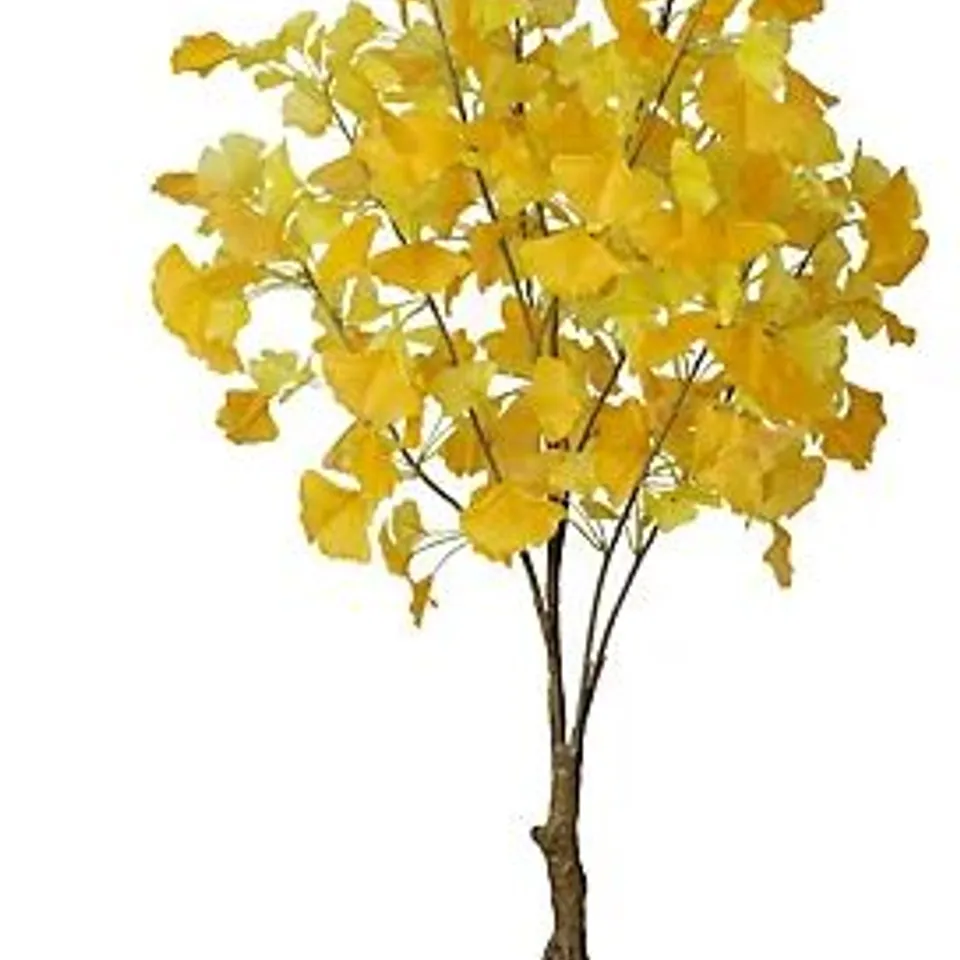 BOXED AUTUMN DECO TREE X 120 / COLLECTION ONLY 