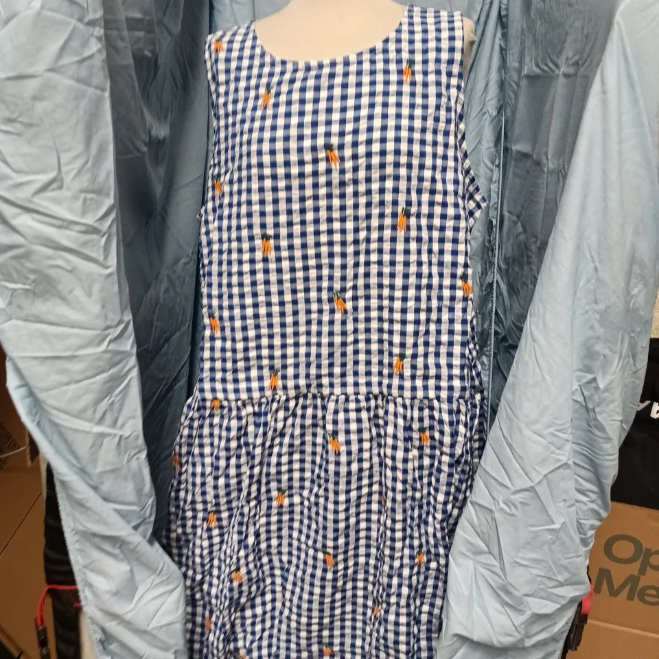 LUCY & YAK SACHA DRESS – ORGANIC COTTON, CARROT EMBROIDERY, BLUE & WHITE GINGHAM, UK SIZE 22