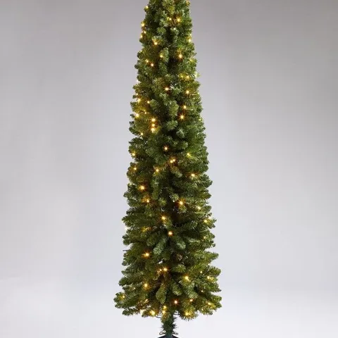 BOXED PRE-LIT 6FT PENCIL CHRISTMAS TREE (1 BOX)