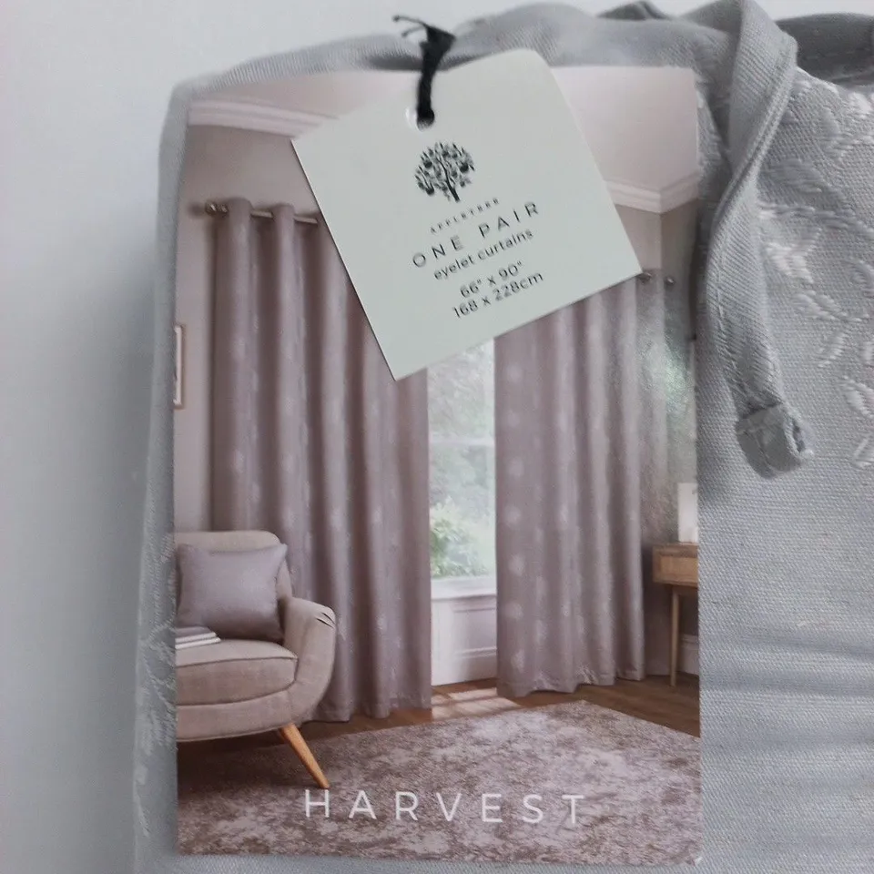 APPLETREE LOFT EYELET CURTAINS IN SILVER - 66 X 90"