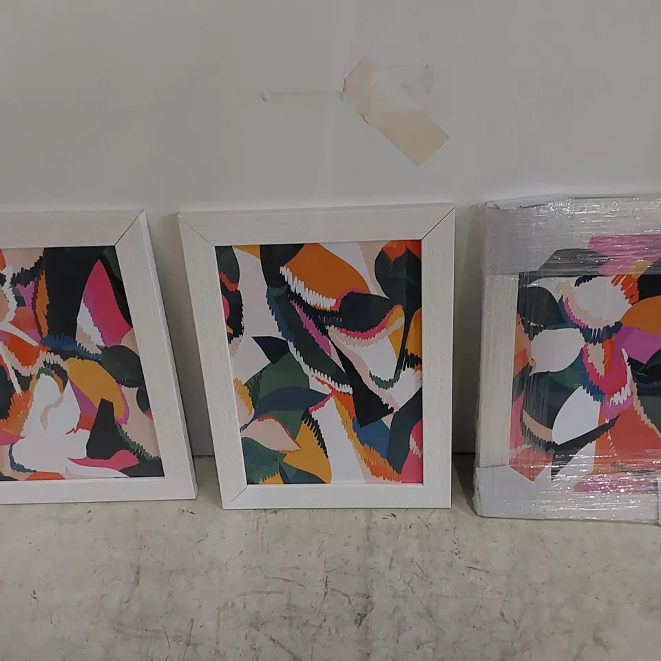 FLOWER ART MODERN FRAMED PRINT SET (3 PIECES)