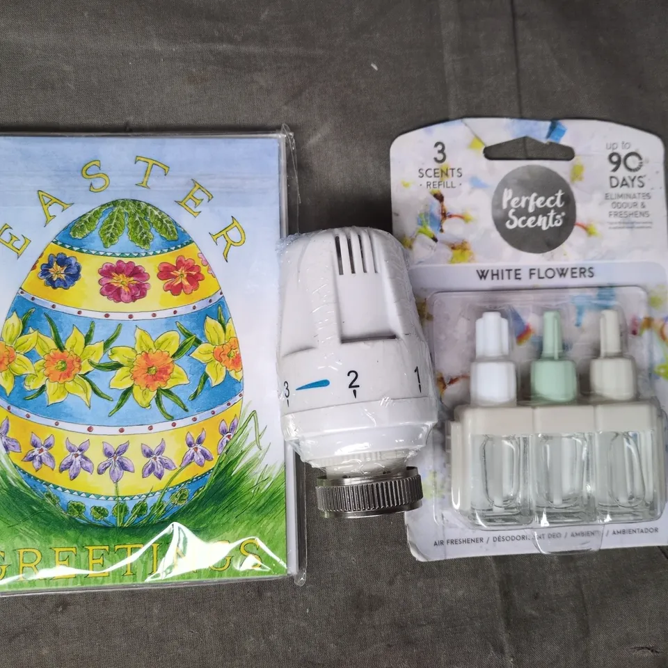 APPROXIMATELY 10 ASSORTED HOUSEHOLD ITEMS TO INCLUDE EASTER GREETING CARDS, SCENT REFILLS, ETC