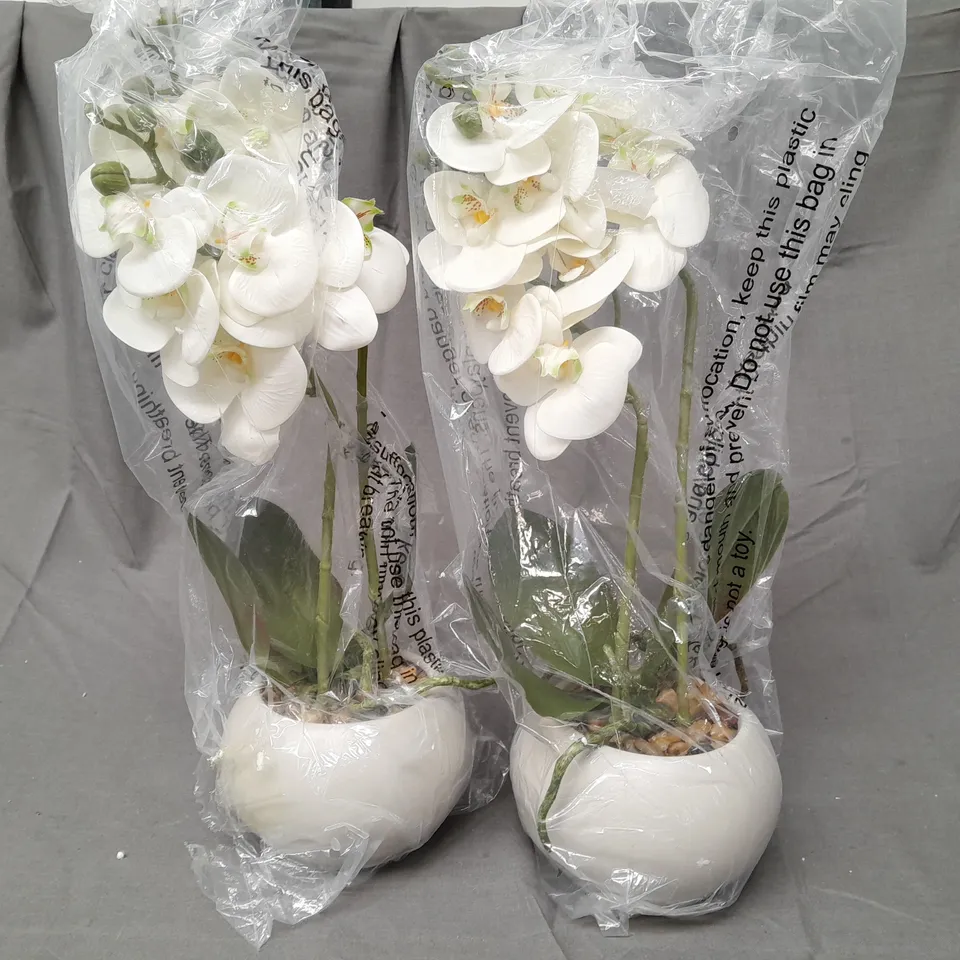OUTLET HOME REFLECTIONS SET OF 2 REAL TOUCH CERAMIC POT