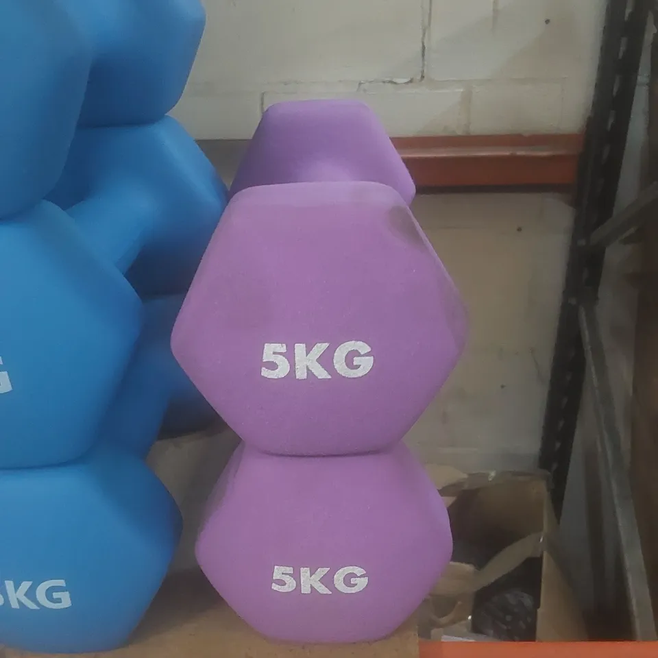 SET OF 2 KAYMAN 5KG DUMBELLS - PURPLE