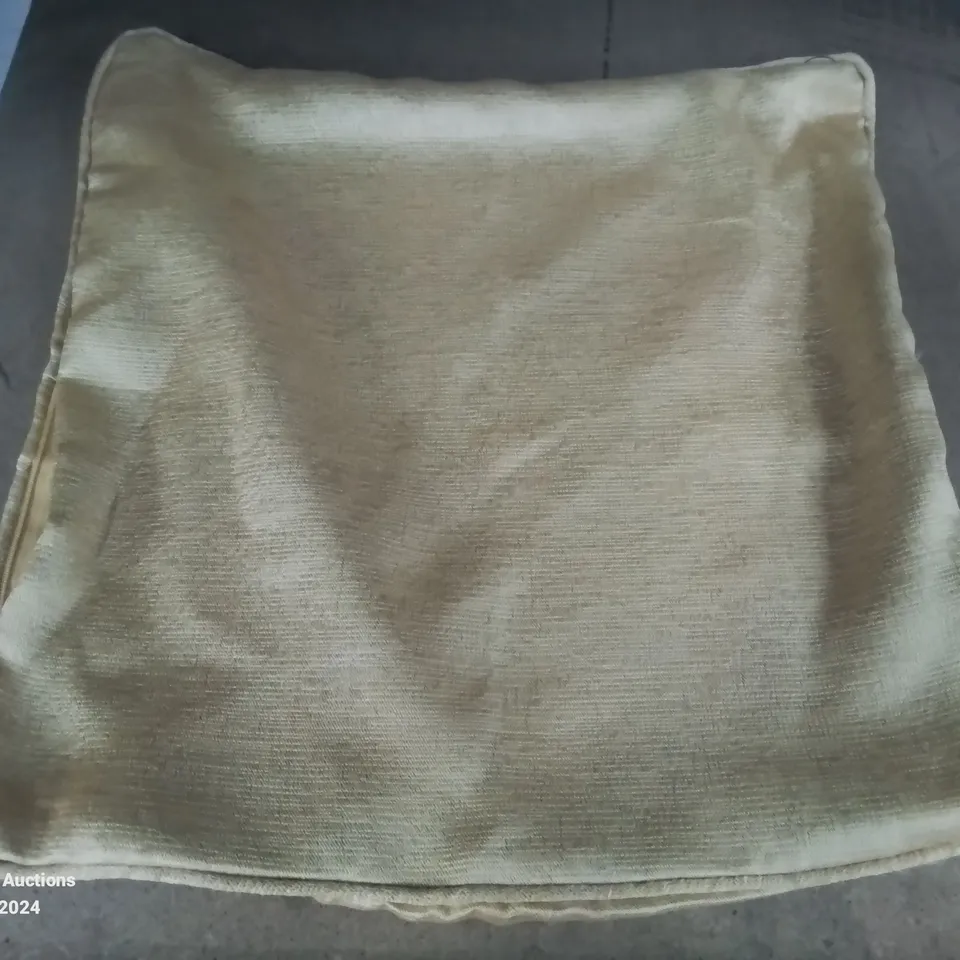 SQUARE SCATTER CUSHION GOLD CASE