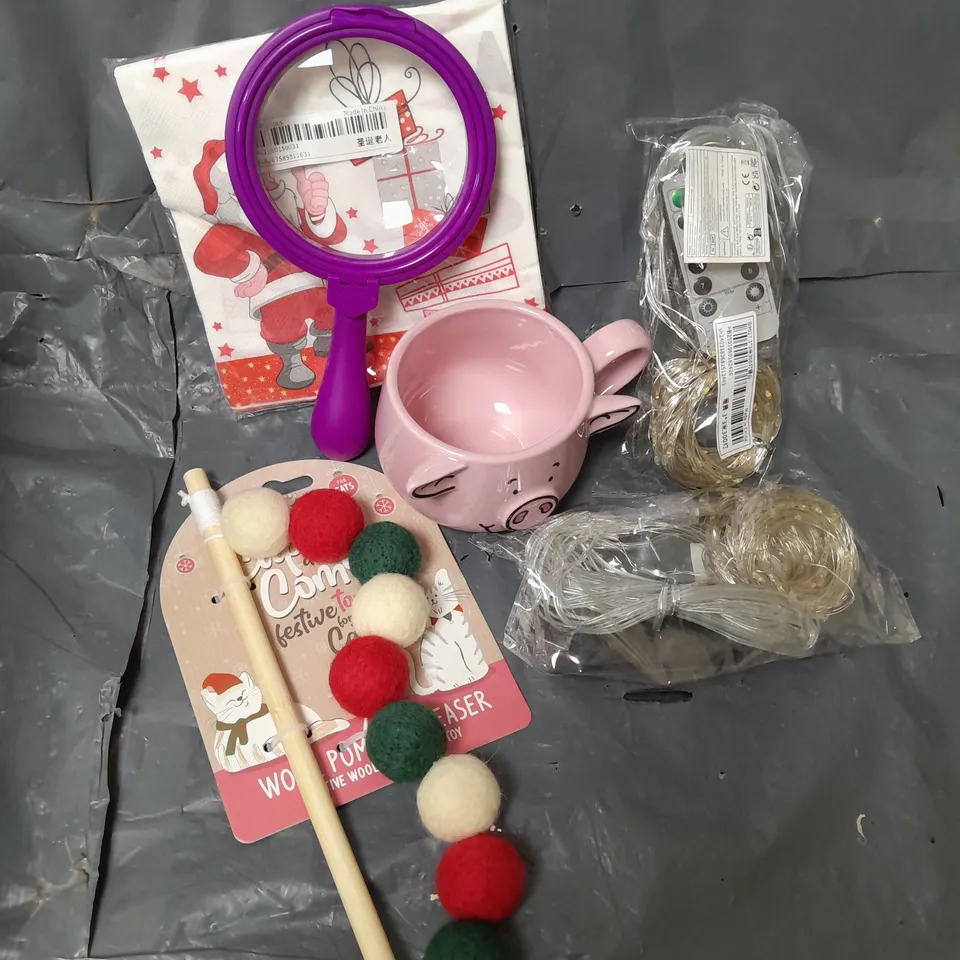 APPROXIMATELY 15 ASSORTED HOUSEHOLD ITEMS TO INCLUDE MAGNIFYING GLASS, PIG MUG, STRING LIGHTS, ETC