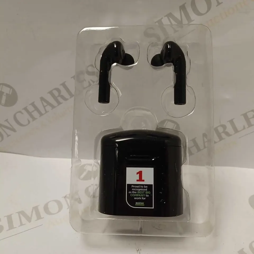 LIBERTY TWS EARBUDS WITH CHARGING CASE