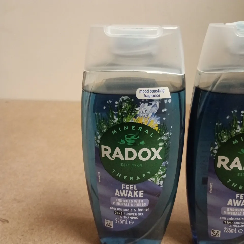 RADOX MINERAL THERAPY FEEL AWAKE SHOWER GEL 225ML – MOOD BOOSTING FRAGRANCE (SET OF 5 BOTTLES)