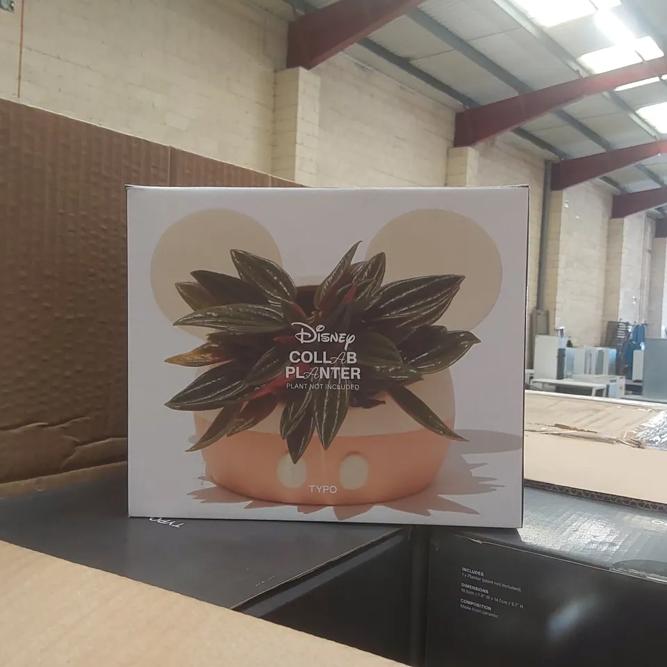 PALLET CONTAINING APPROXIMATELY 160x TYPO DISNEY COLLAB PLANTERS, 35x TYPO BASKETBALL OFF TABLE TOP GAMES ECT