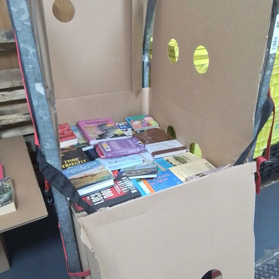 LARGE QUANTITY OF ASSORTED BOOKS TO INCLUDE DVSA DRIVING GUIDE, POLITICS IN IRELAND AND SHE AND HER CAT