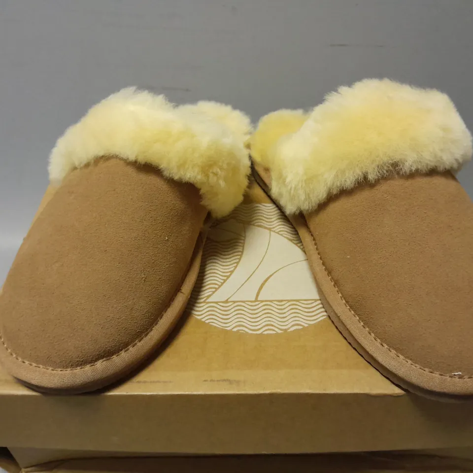 BOXED PAIR OF ARTHUR CAMERON DIASY SLIPPERS IN CHESTNUT - SIZE 5