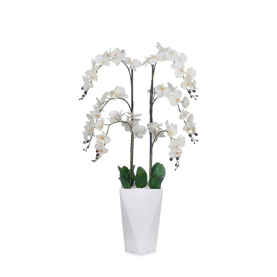 JM BY JULIEN MACDONALD MULTI STEM ORCHID IN WHITE GLAZED POT