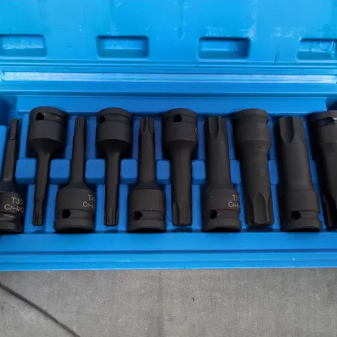 Torx bit set in blue case (Cr-Mo steel)