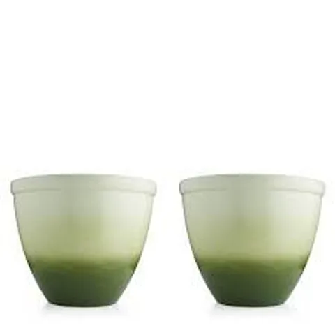GRUMPY GARDENER SET OF 2XL OMBRE PLANTERS
