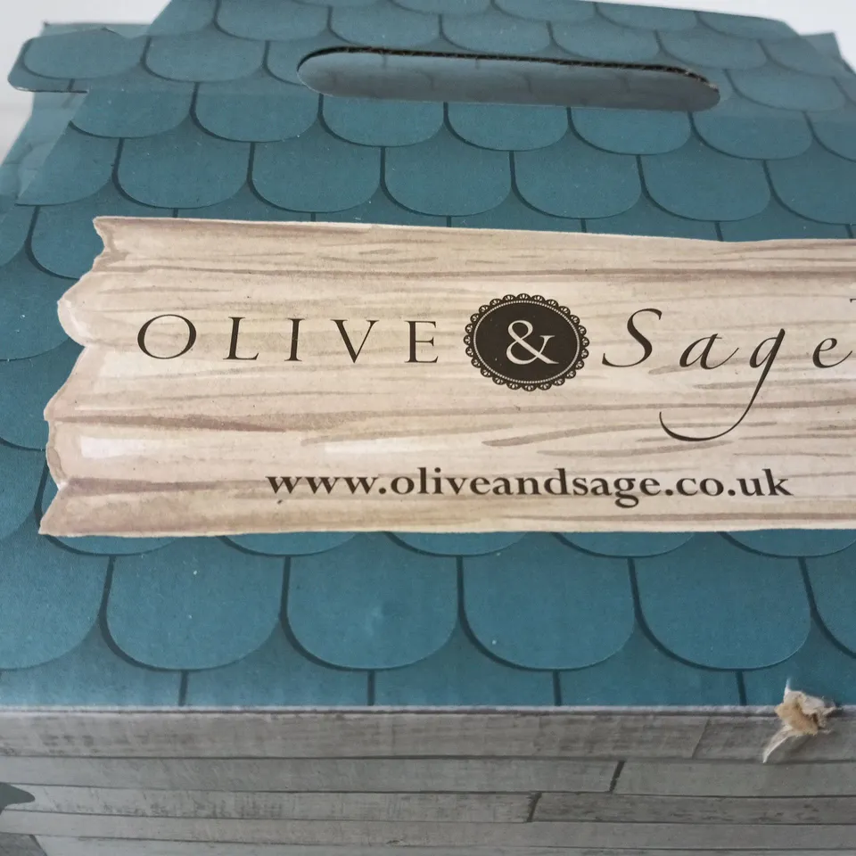 OLIVE & SAGE DOG FIGURINE IN DECORATIVE HOUSE – BOXED - CHI
