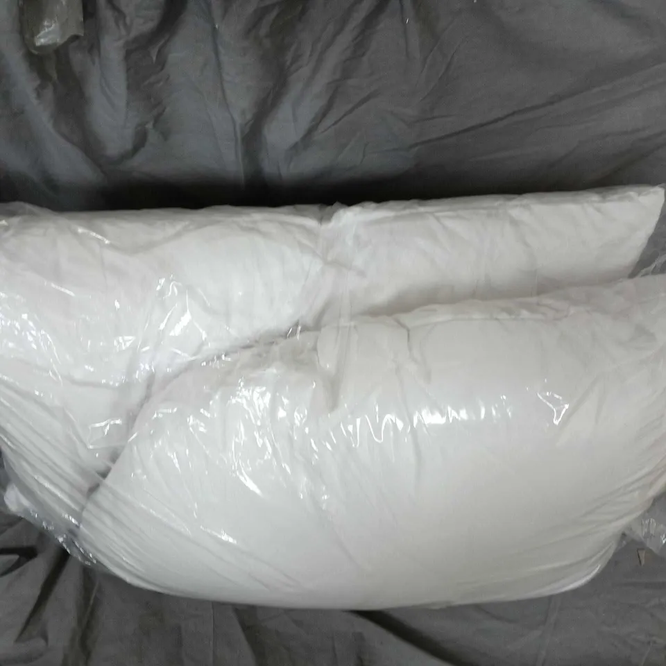 2 X WHITE PILLOW IN CLEAR PLASTIC PACKAGING