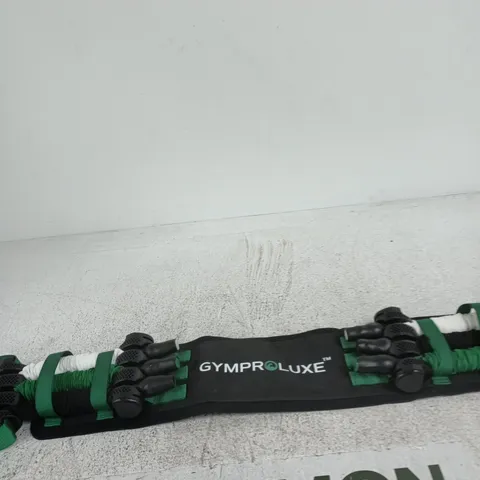 GYMPRO LUXE MULTI-STRAP FITNESS TRAINING DEVICE
