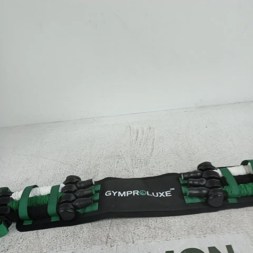 GYMPRO LUXE MULTI-STRAP FITNESS TRAINING DEVICE