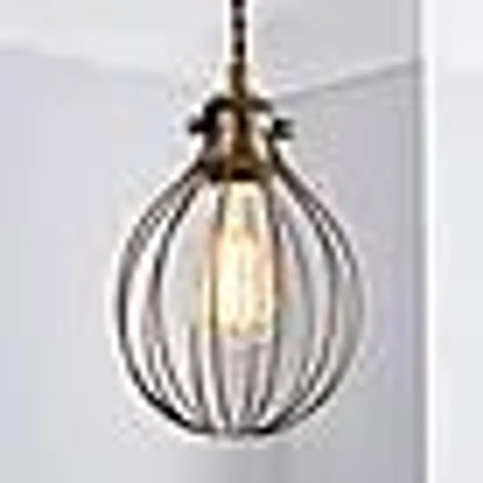 BOXED CHARLIE INDUSTRIAL BULB CAGE