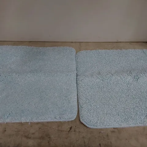 BAGGED 2X BLUE BATH MATS (1 ITEM)