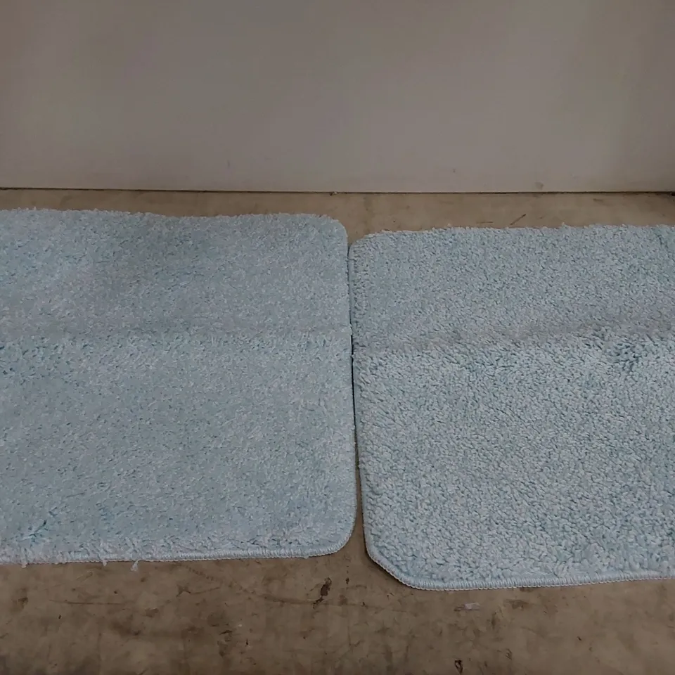 BAGGED 2X BLUE BATH MATS (1 ITEM)