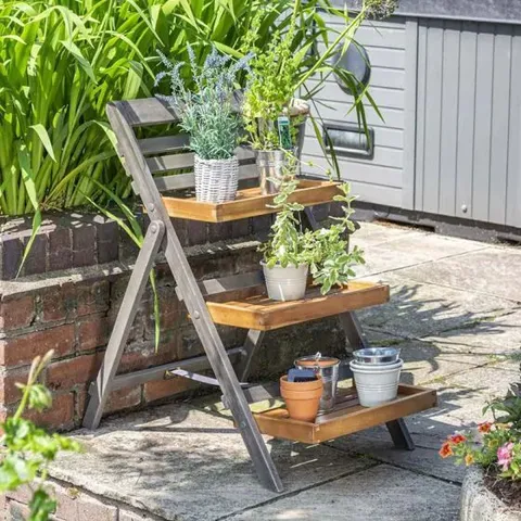 BOXED ROWLINSON ALDERLEY PLANT LADDER - SMALL (1 BOX)