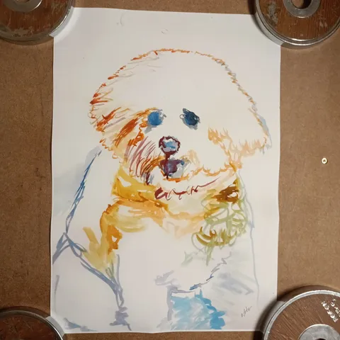 BICHON FRISE WATERCOLOR PAINTING PRINT BY DOGFISHARTCO