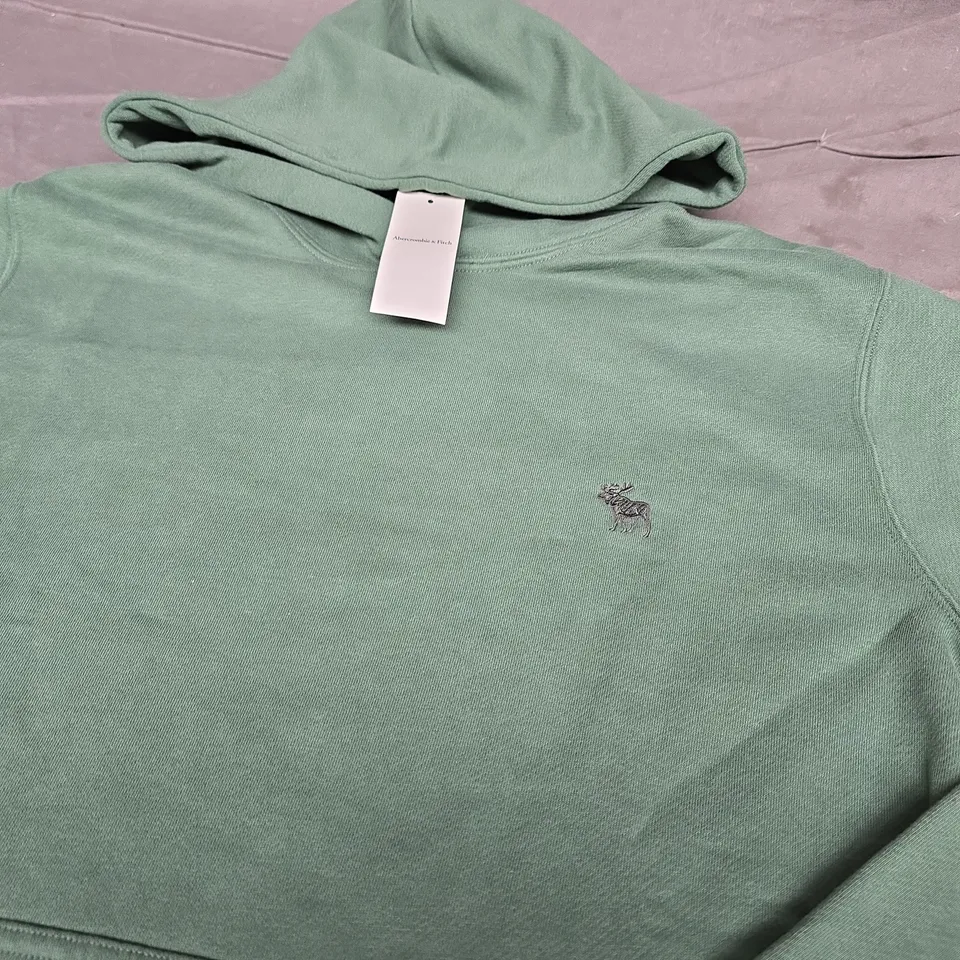 ABERCROMBIE AND FITCH LOGO HOODIE - SIZE M 