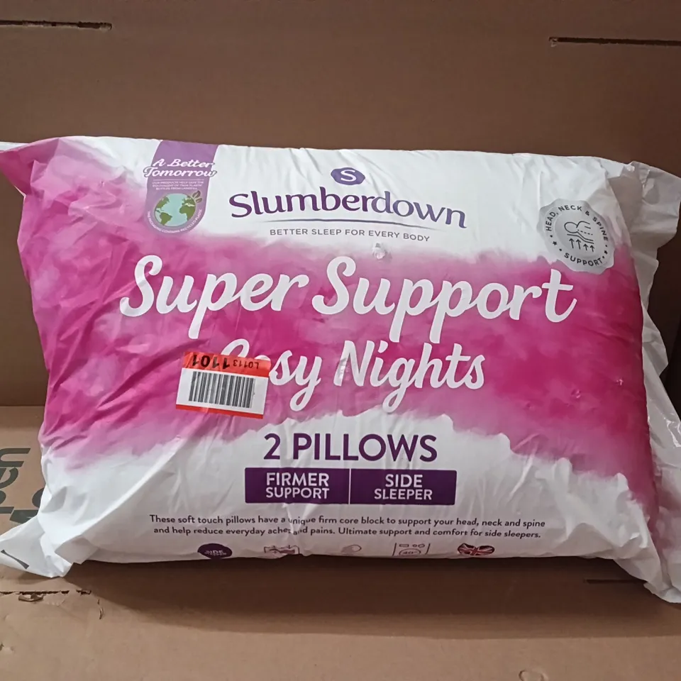 BAGGED SLUMBERDOWN SUPER SUPPORT PILLOWS (SET OF 2)
