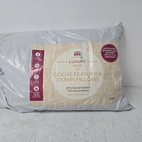 DICKENS LUXURY PAIR OF GOOSE FEATHER & DOWN PILLOWS