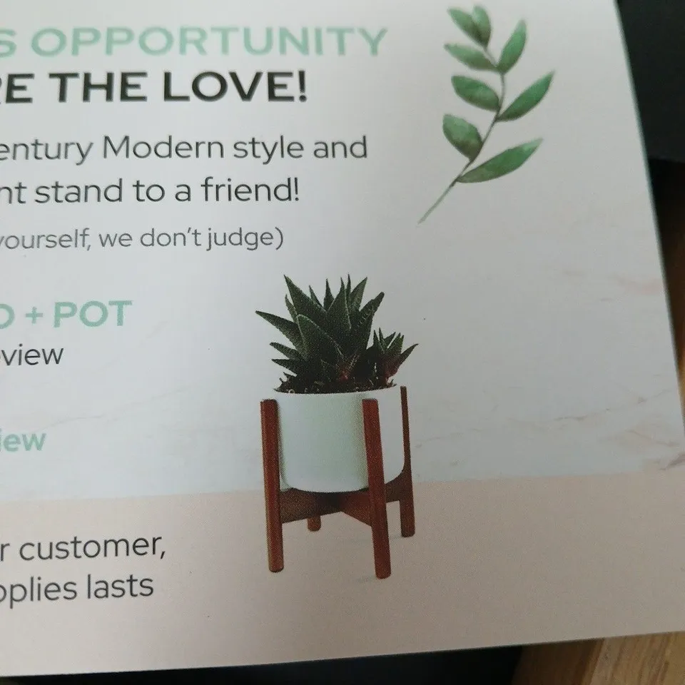 FOX & FERN PLANT STAND – WOODEN INDOOR PLANT STAND