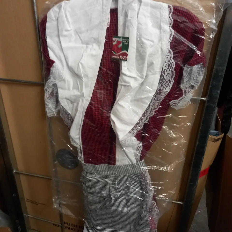 TRADITIONAL WELSH LADY COSTUME - ADULT 18-20