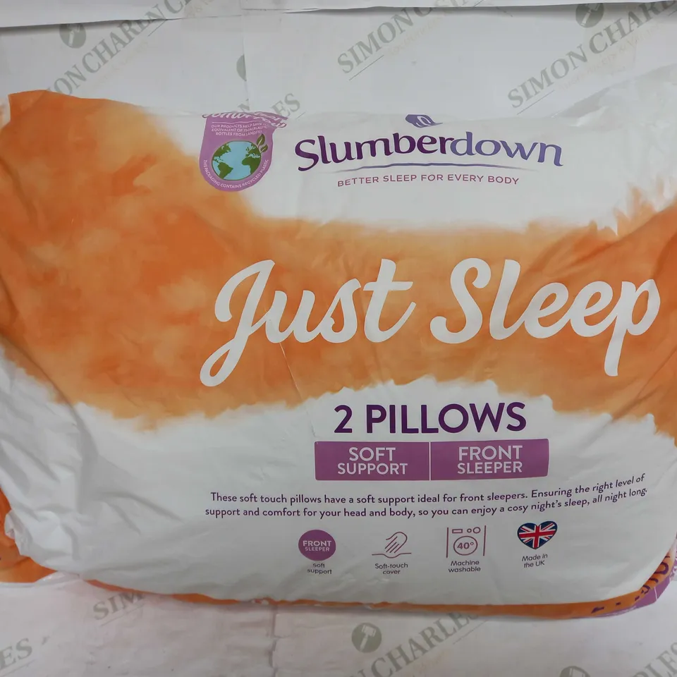 SLUMBERDOWN JUST SLEEP 2 PILLOWS