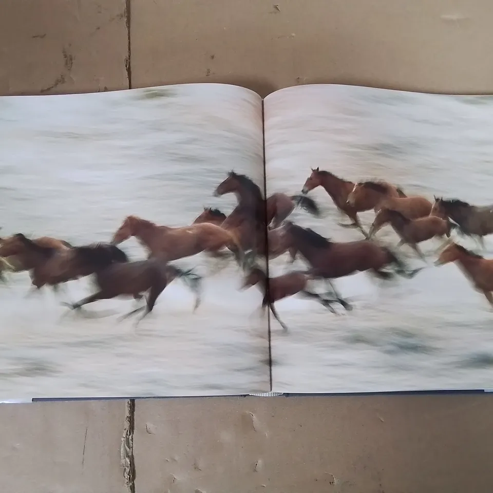 NATIONAL GEOGRAPHIC SIMPLY BEAUTIFUL PHOTOGRAPHS - ANNIE GRIFFITHS