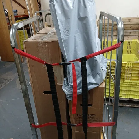 CAGE OF 5 BOXED LIVE PLANTS