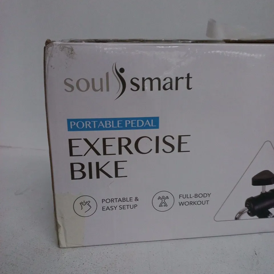 SOULSMART PORTABLE PEDAL EXERCISE BIKE