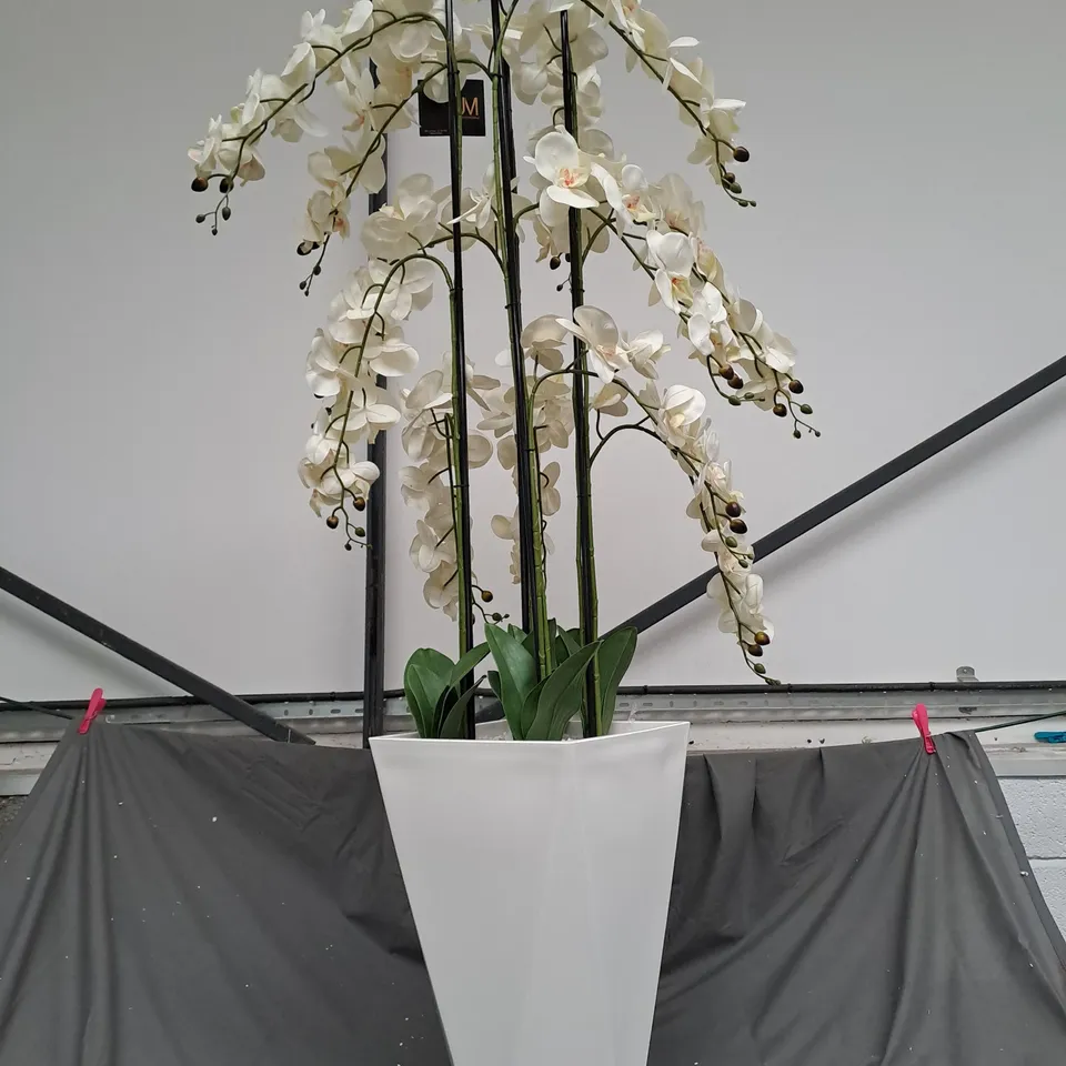 BOXED JM BY JULIEN MACDONALD MULTI STEM ORCHID IN WHITE GLAZED POT IN WHITE 150CM 