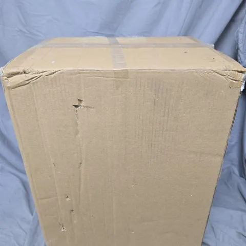 GARDEN REFLECTIONS COASTAL EDIT CONCH SHELL