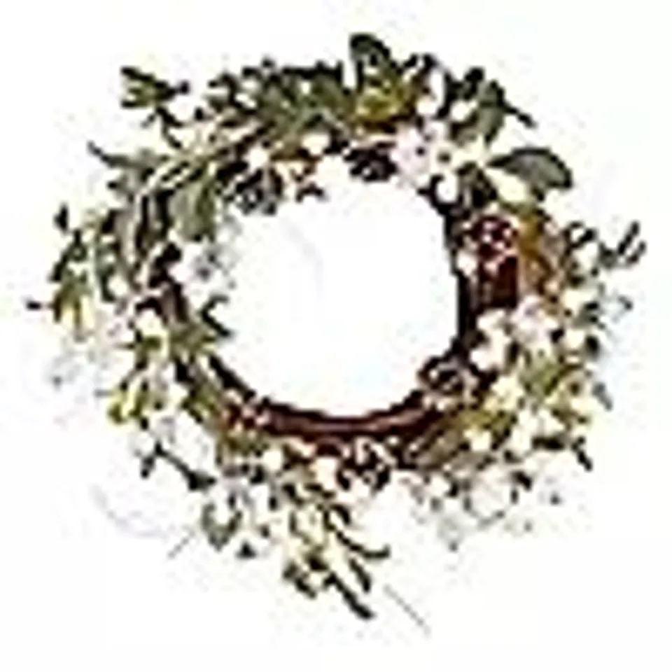 OUTLET SARA DAVIES PRE LIT 50CM FROSTED MISTLETOE PINECONE WREATH