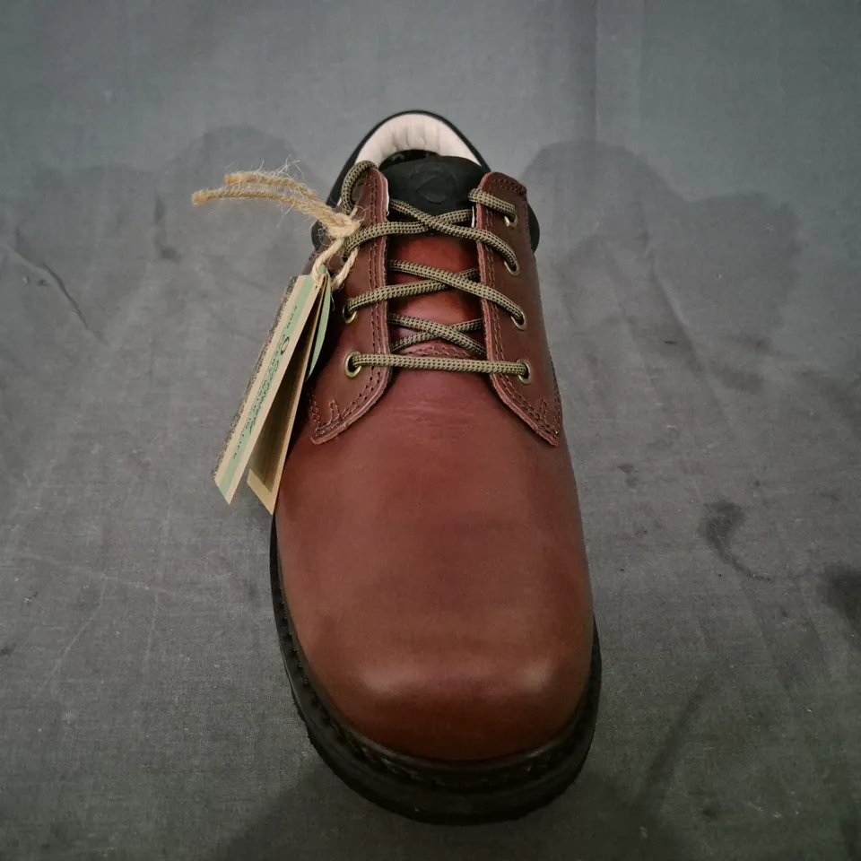 BOXED PAIR OF COTSWOLD STONESFIELD SHOES IN CHESTNUT UK SIZE 12