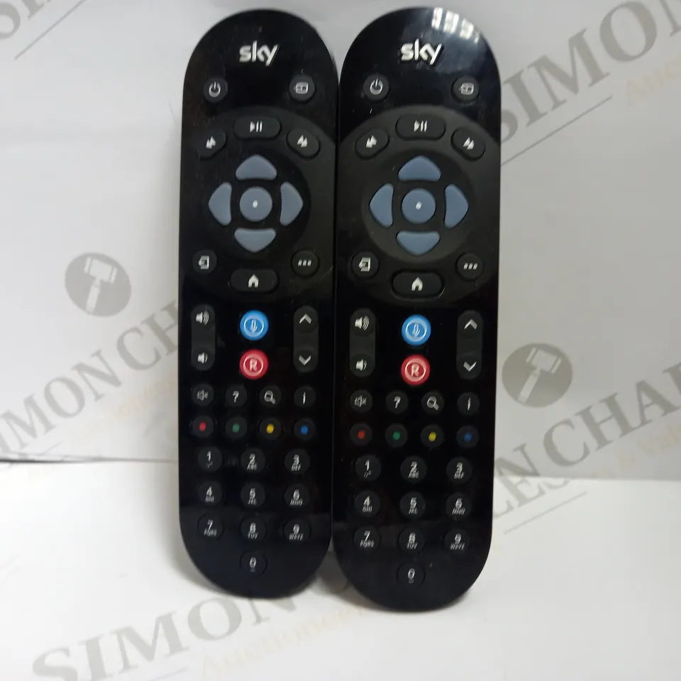 LOT OF 2 SKY Q REMOTES