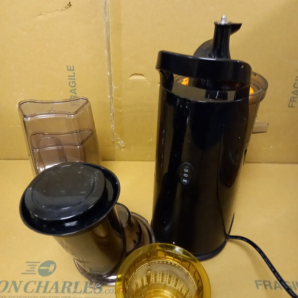 FRIDJA MASTICATING JUICER