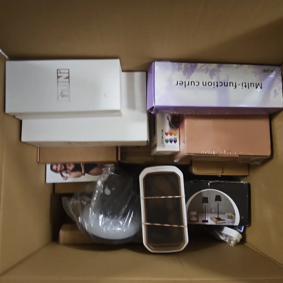 APPROXIMATELY 15 ASSORTED ELECTRICAL ITEMS TO INCLUDE PROJECTOR, FLOWER FAN LIGHT, DEFENDER DECOY CAMERA, ETC